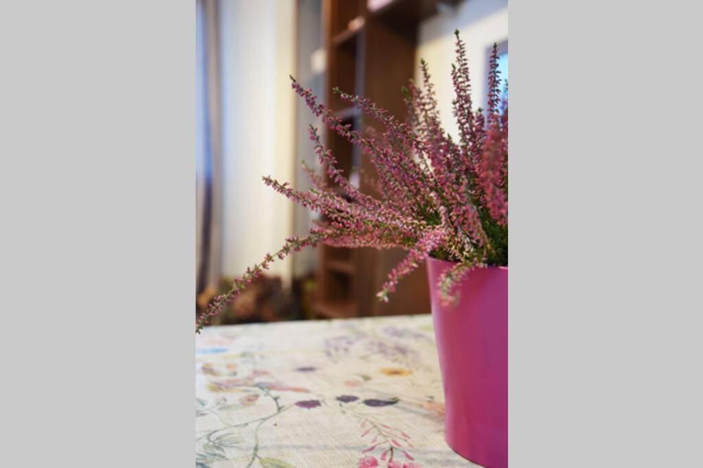 El Pisito De Rodrigo II Apartment ริวาเดเซญา ภายนอก รูปภาพ
